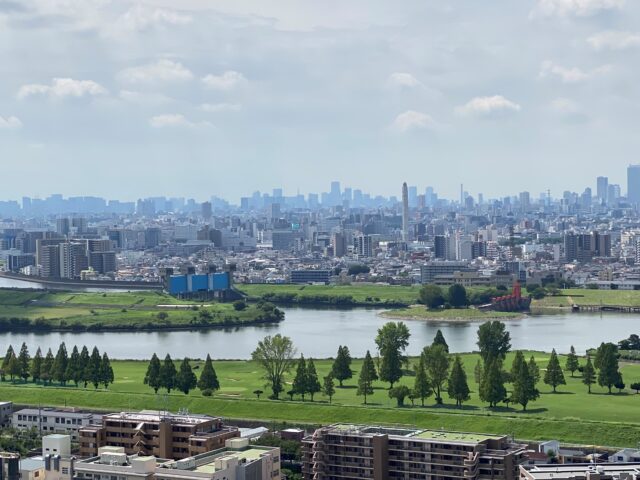 行政書士さいれんじ事務所