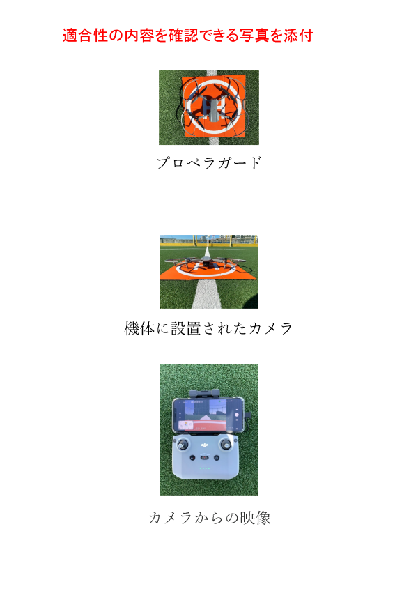 DIPS2.0追加基準への適合性画面添付写真